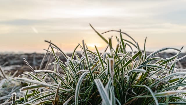 routiva maa tarvitsee routaeristyksen