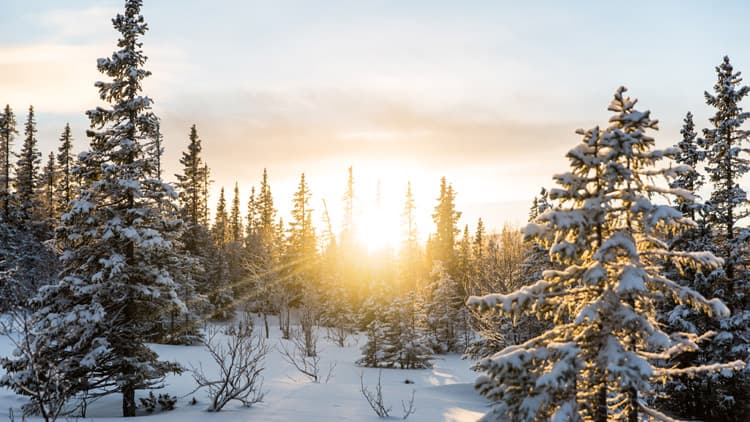 Ilmavesilämmitys sopii pohjolan kylmiin keleihin.