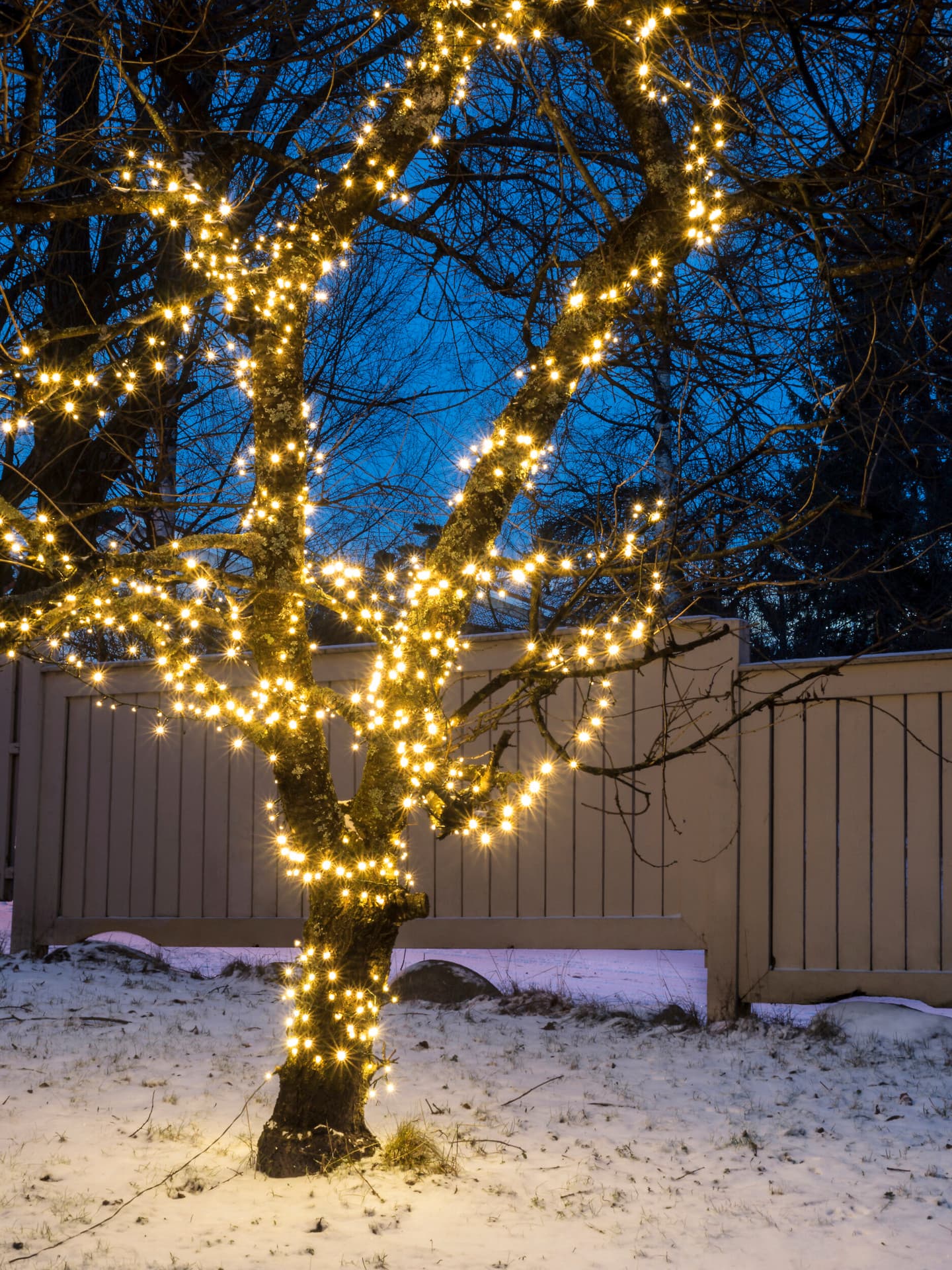 <p data-block-key="s2qj6">Energiapihien led-koristevalojen sähkönkulutus koko talvena maksaa muutaman euron.</p>