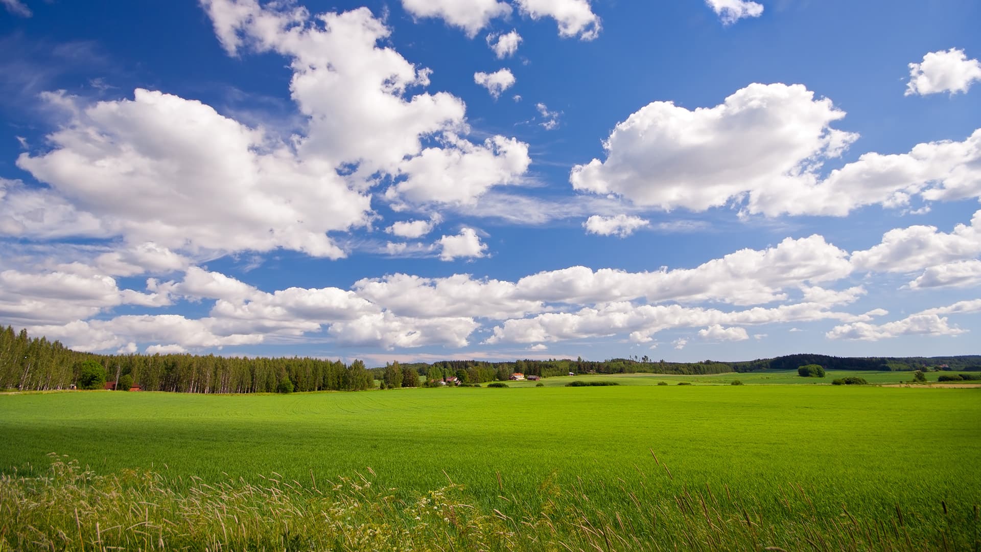 Jätevesijärjestelmän valinta voi olla vaikeaa - katso matkailukeskuksen ratkaisu