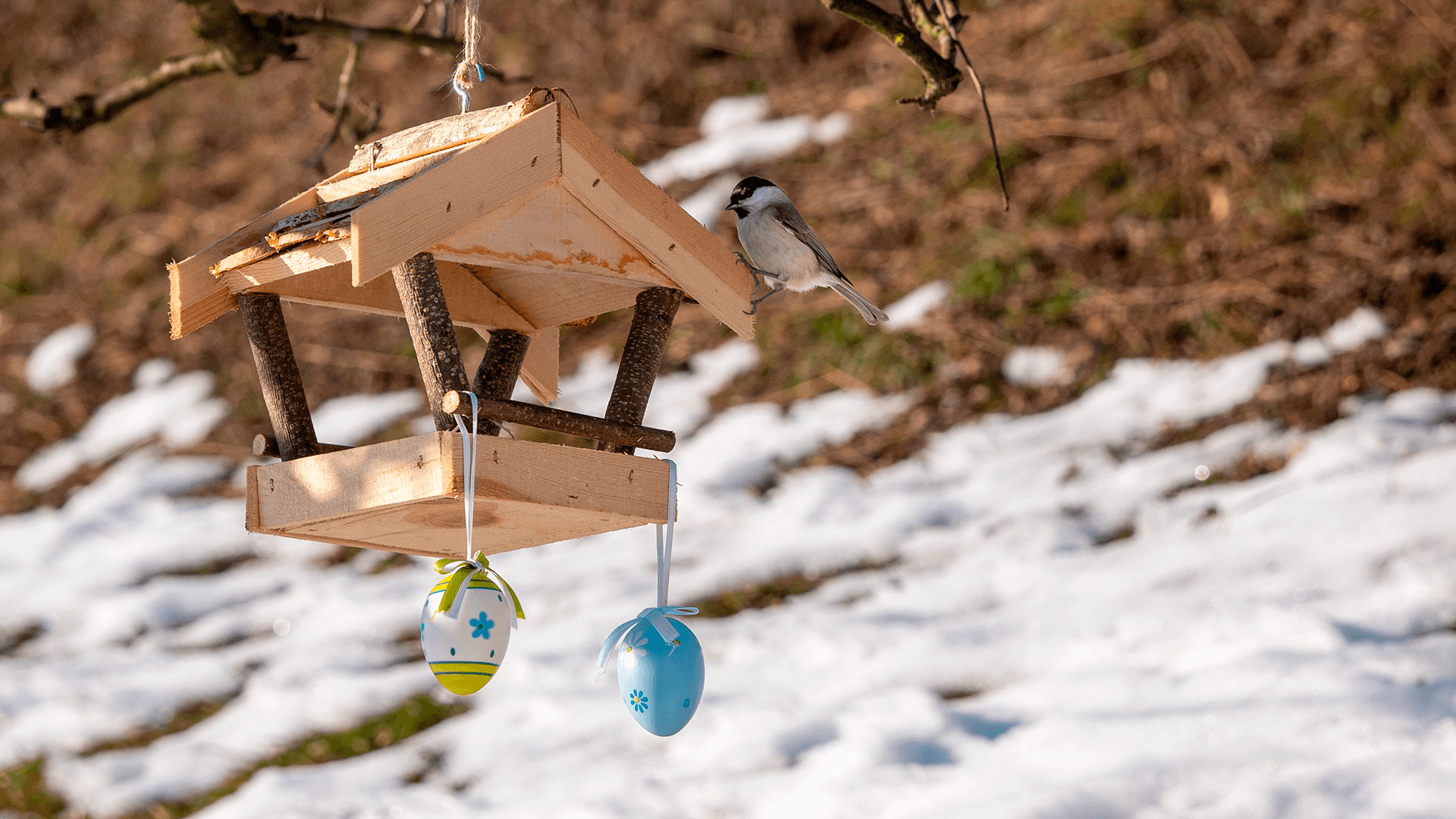 Kevään ensimmäinen remontti alkaa aina samasta virheestä: Tarkista nämä kolme kohdetta ensin