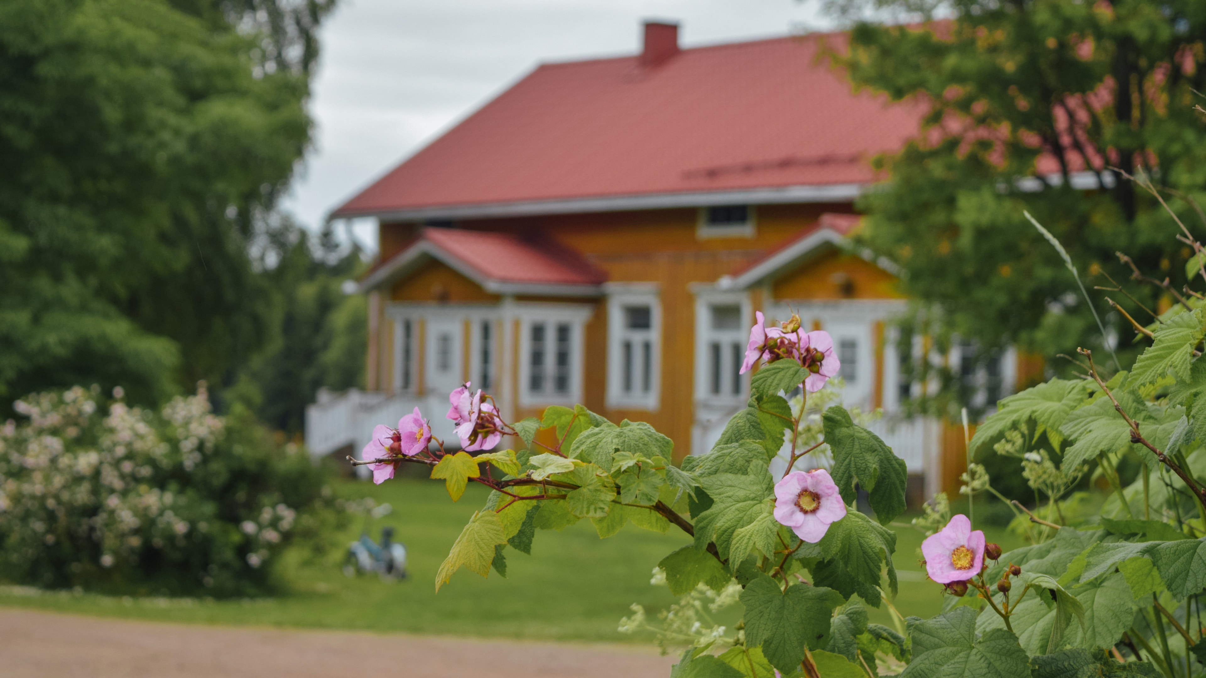 Keltainen omakotitalo suomalaisessa kesämaisemassa AdobeStock_298096405