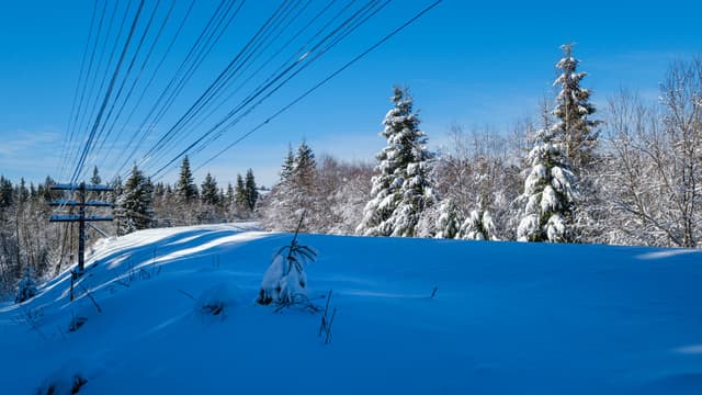 Talvimaisema, pörssisähkö